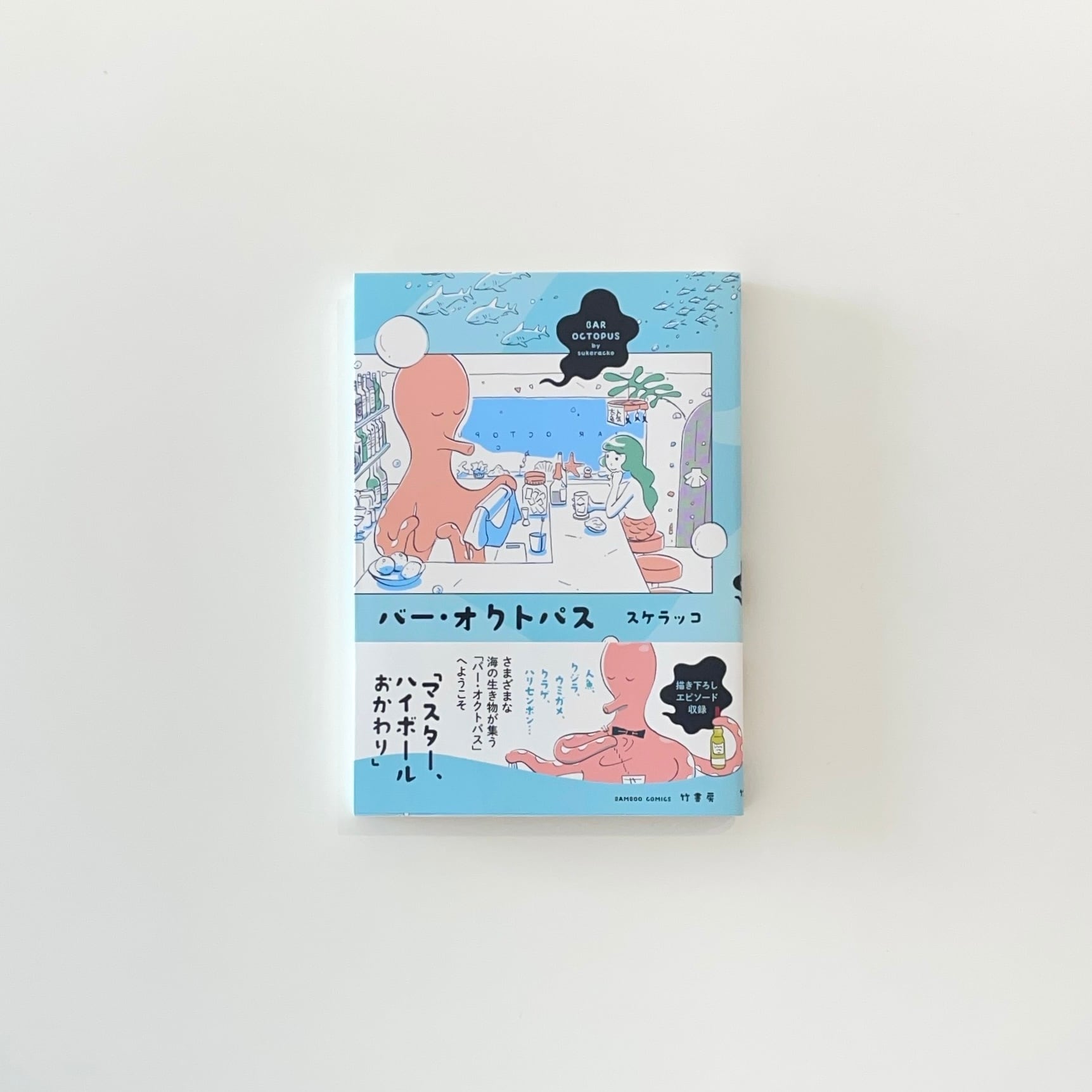 十六夜橋 新版｜石牟礼道子 | 本の栞