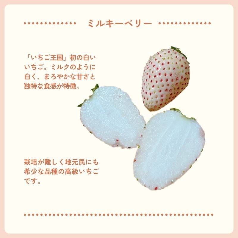 ミルキーベリー（DXサイズ 6粒入り×2P） | 猪野さんちのいちご農園