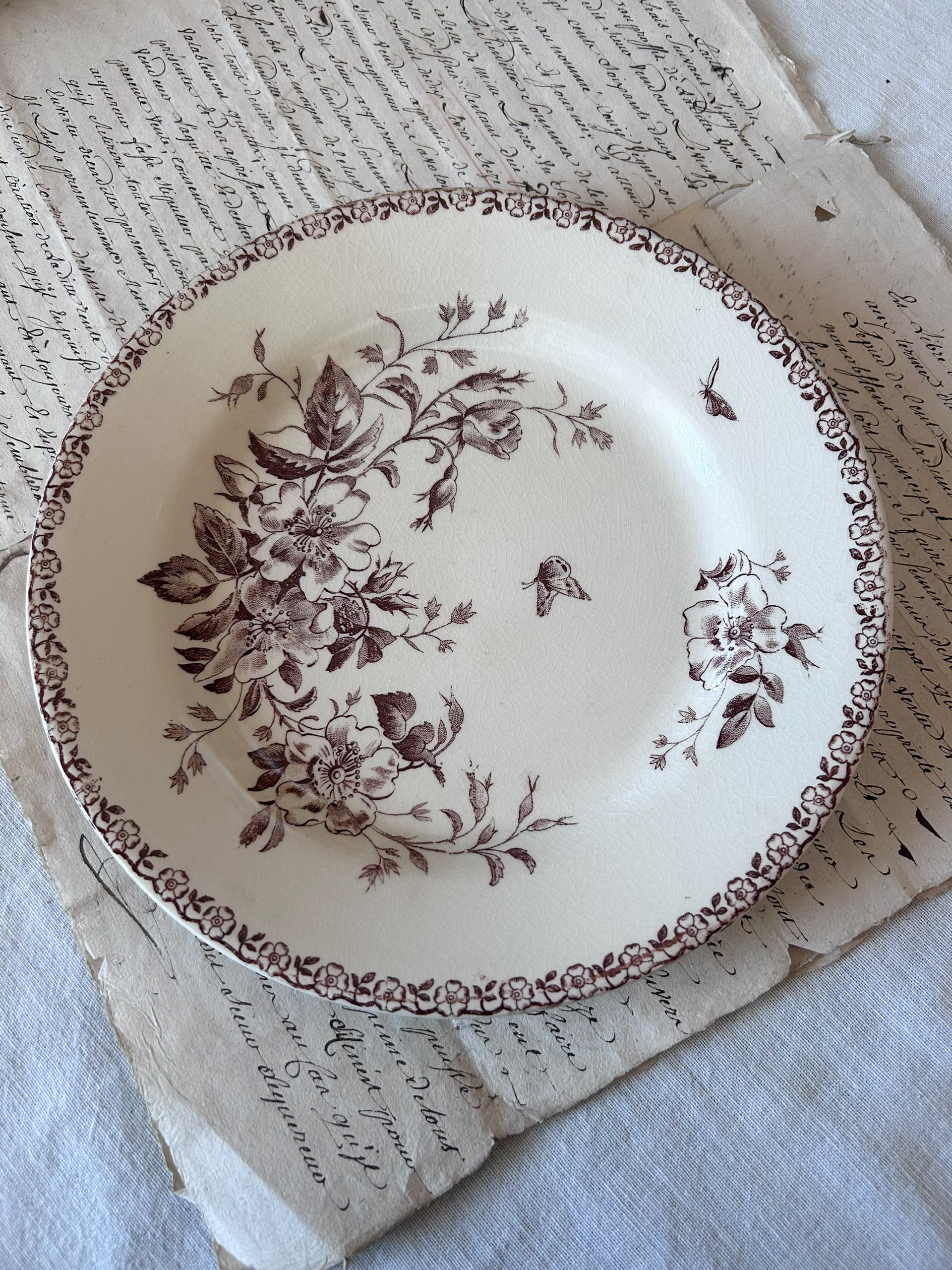 ｱﾝﾃｨｰｸ ﾎﾞﾝﾇ ｼｬﾝｽ