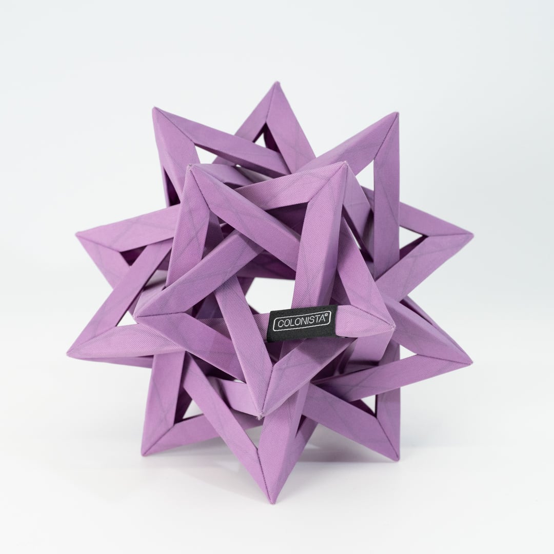 CONPE10 Purple | COLONISTA