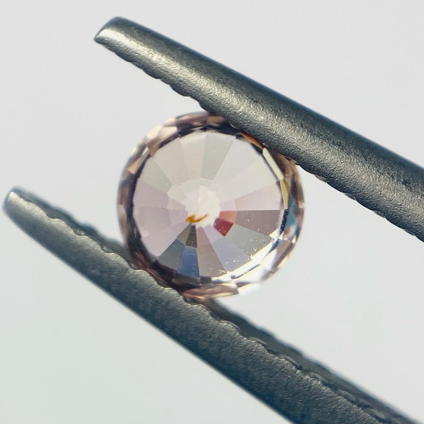 桜桜桜　サファイア