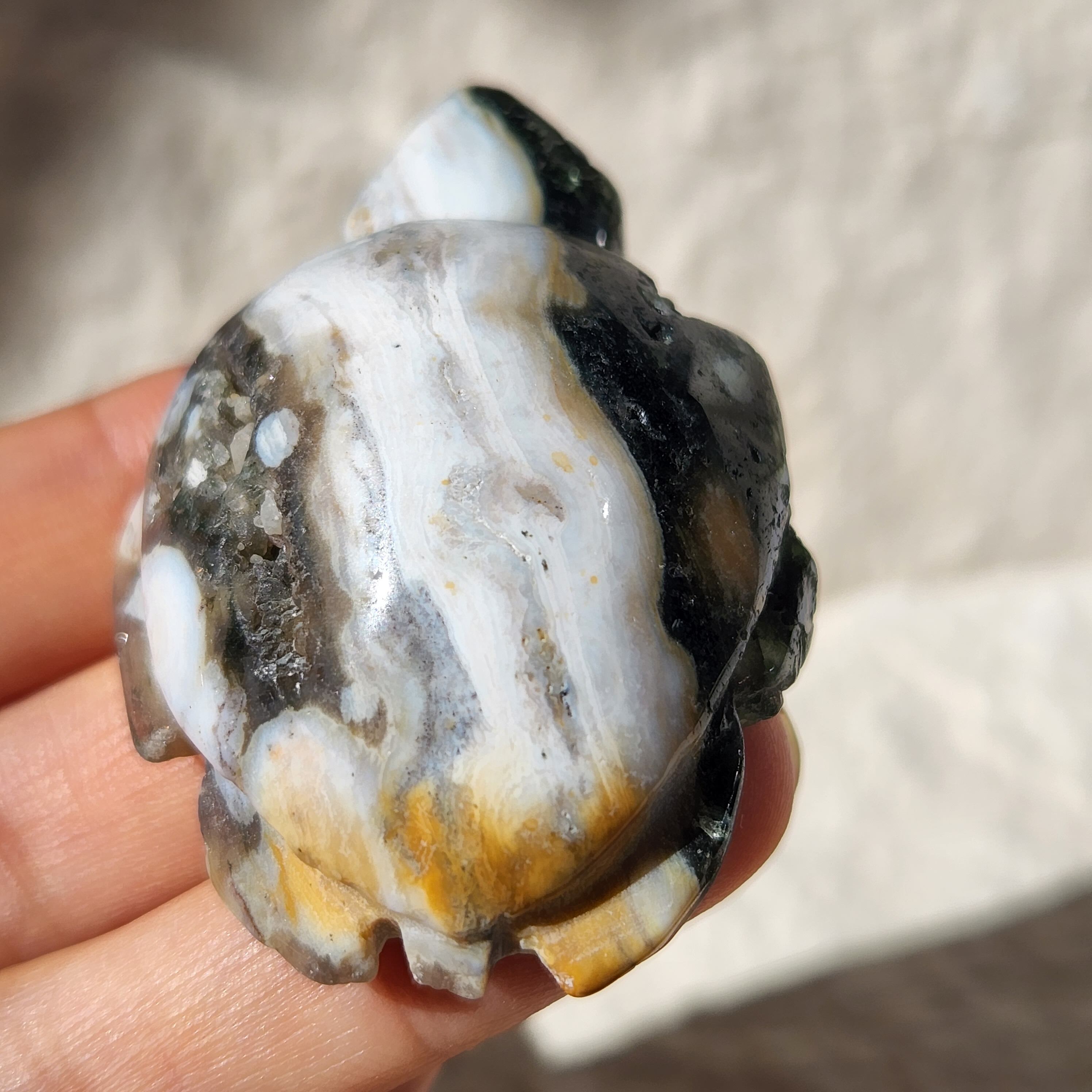 ✴8th Vein High Quality Ocean Jasper Turtle（8th Vein ハイ 