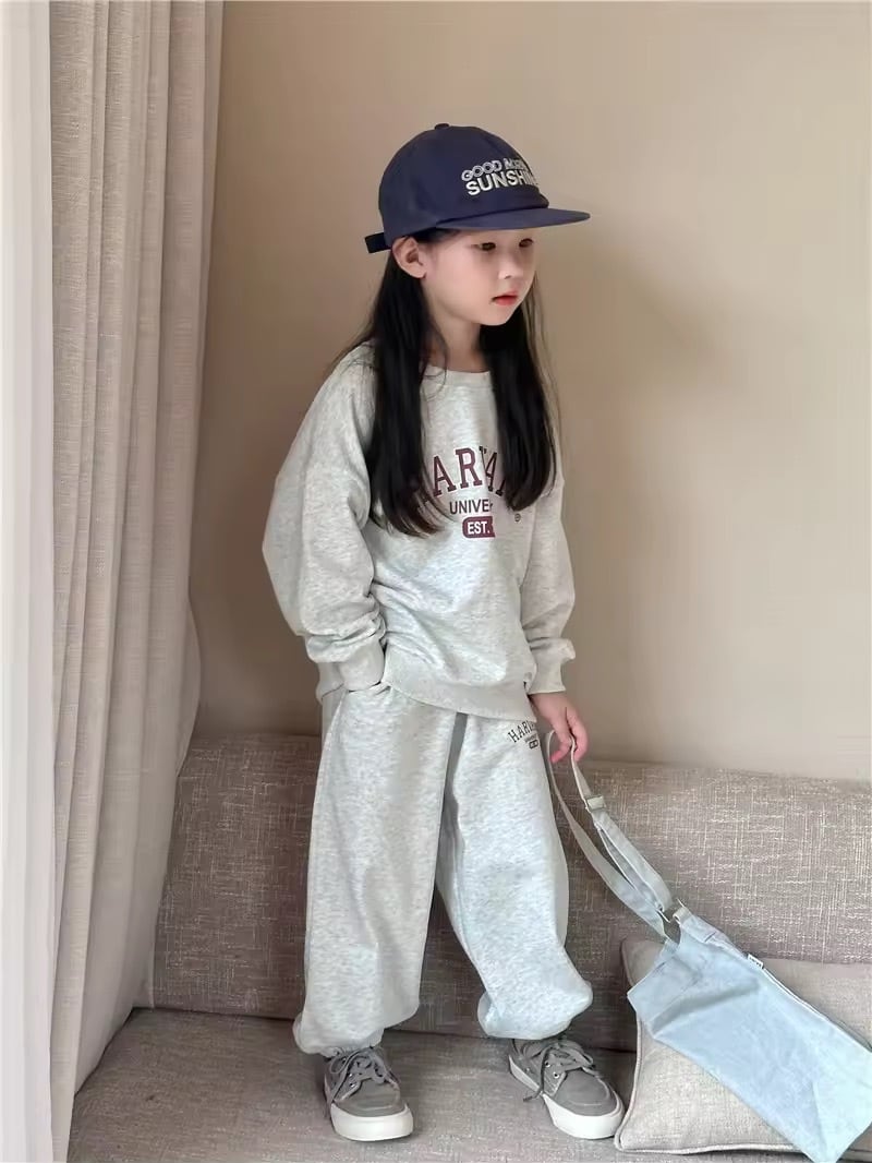 HARVARDセットアップ