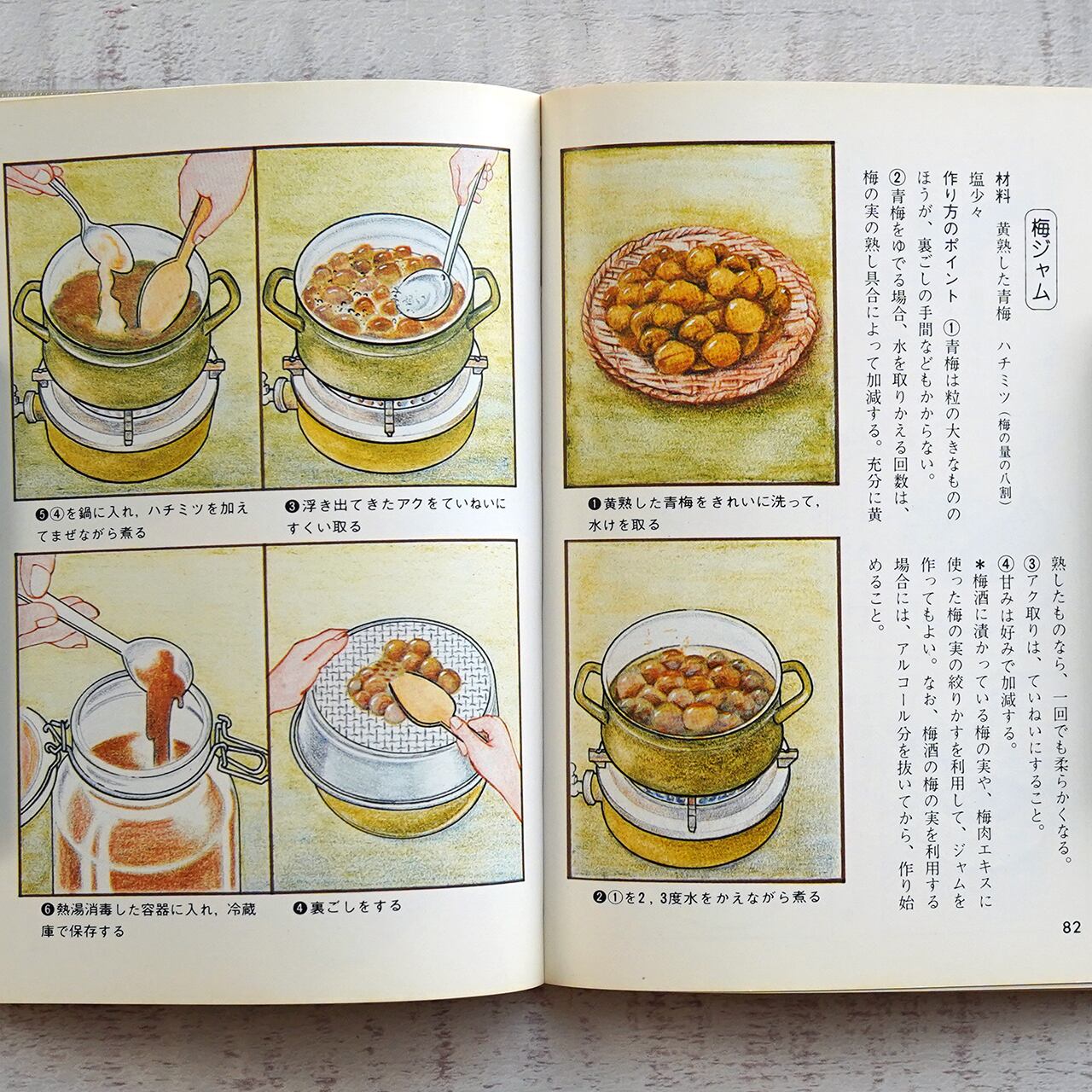 健康食入門 (カラーブックス527) 松本紘斉 | タイムカプセル