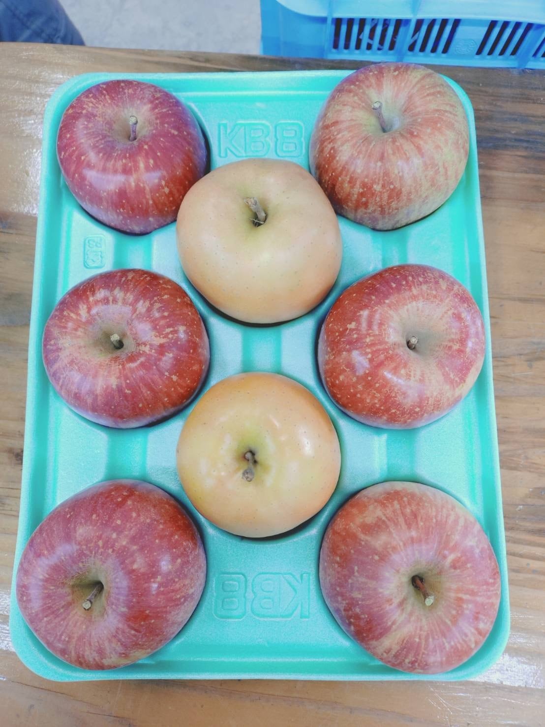 293d40de28c074502f289c5a444d70