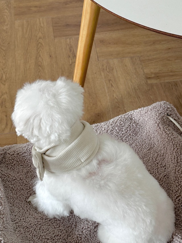 〈予約アイテム〉EYOU / ニットマフラー