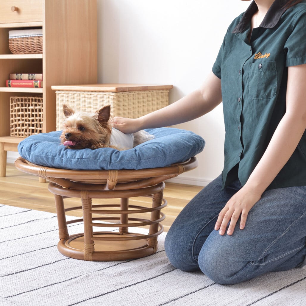 スツール ペットスツール 椅子 チェア ペット イヌ ネコ 犬 猫