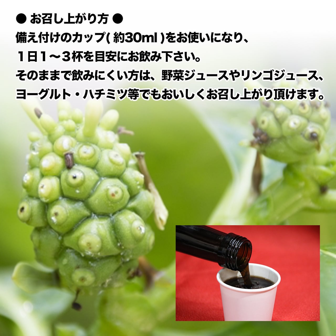 沖縄県産　ノニ（ヤエヤマアオキ、モリンダ）約24kg【常温便】① 沖縄県産 ノニ（ヤエヤマアオキ、モリンダ）約24kg【常温便】①