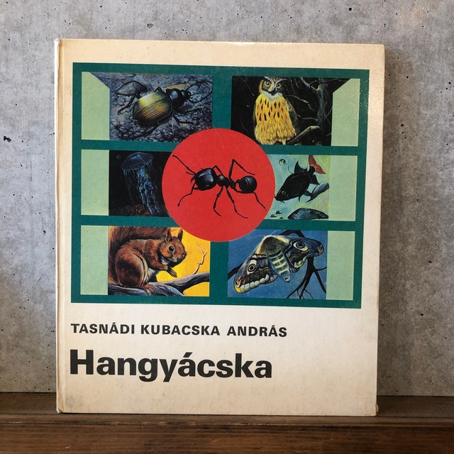 ハンガリーの蟻の本　HANGYACSKA