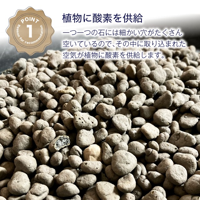 フィッシュベジ　ハイドロボール　[中粒] 2L