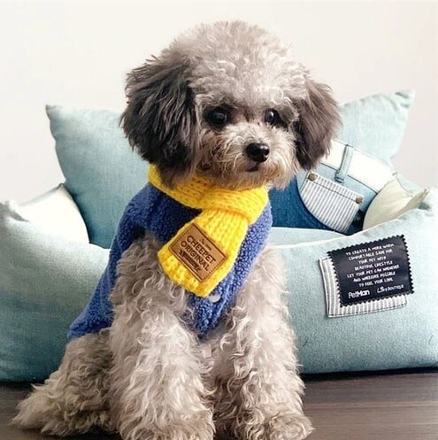 すぐにお届け！】ペットグッズ ニットマフラー おしゃれアイテム