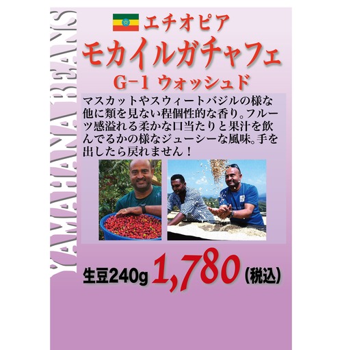 モカイルガチャフェ（エチオピア）生豆240gを焙煎