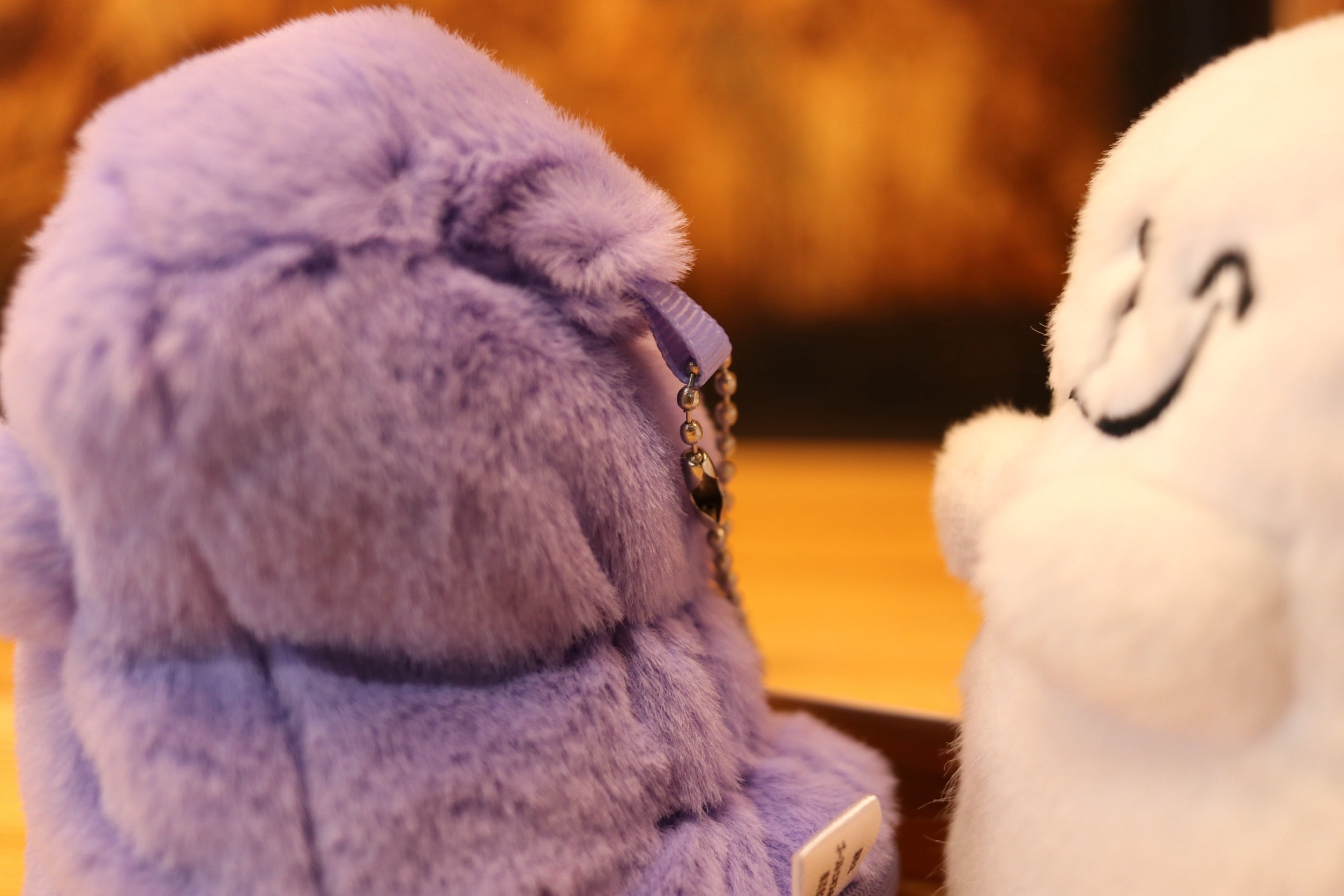 おばけのｼﾌﾄﾉﾌﾞｶﾊﾞｰ | GHOST EXPOD