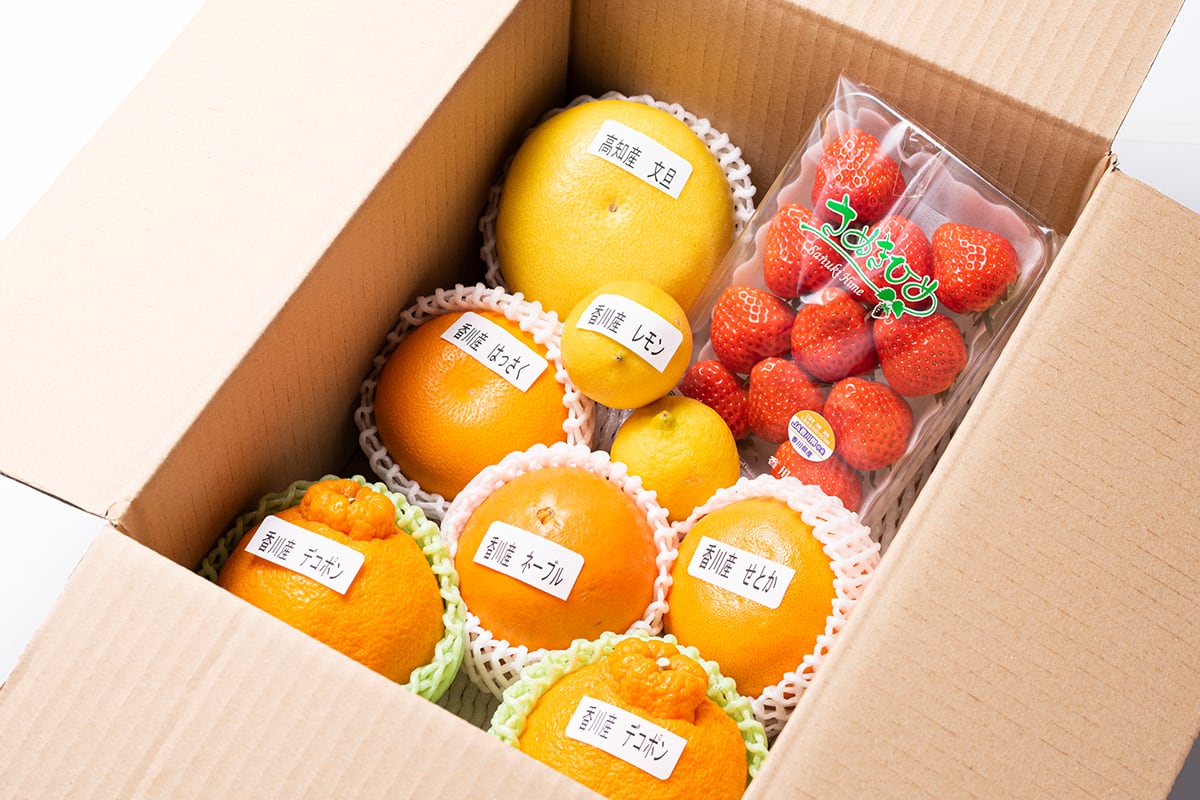 定期・送料無料】四国の旬のフルーツ詰合せセット | Takamatsu Sea