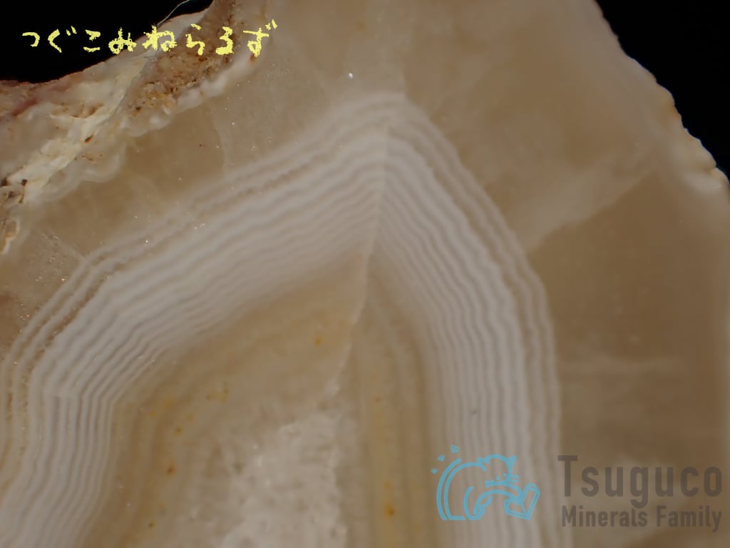 アゲート 瑪瑙 Agate ドイツ TM-0020