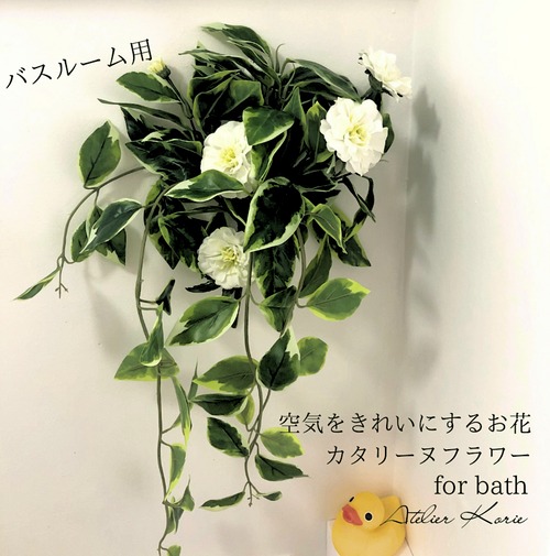 カタリーヌフラワー　For bath