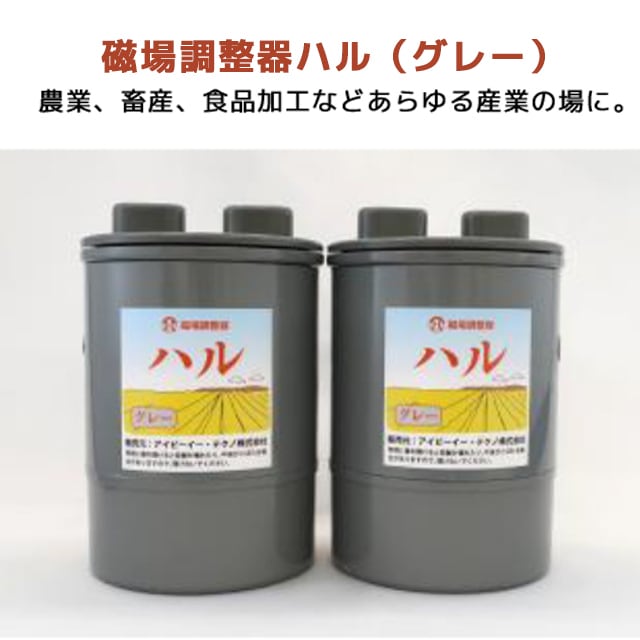 邪気嫉妬対応ミューア　磁場調整 IBE 磁場調整器 ハル グレー イヤシロチ | Manai Store Blog│電磁波