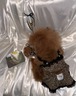 予約【tak!tak!tak!tak!】Love&Wild Leopard Series (Dress/Brown)
