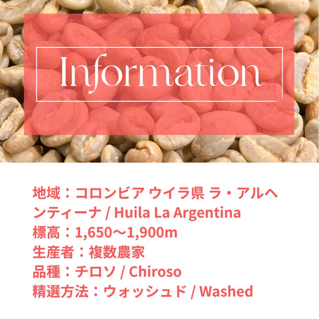 【生豆】コロンビア Argentina Chiroso Washed｜1kg