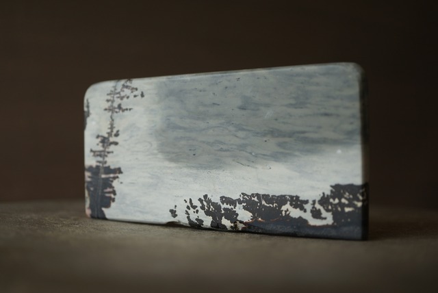 Chinese Picture Stone 1544