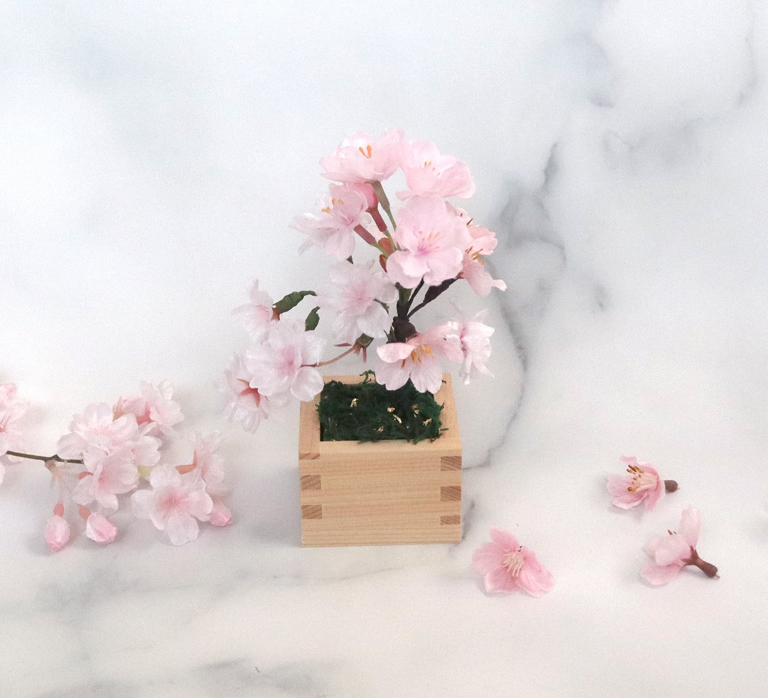 枡入り桜＜ミニ盆栽＞雅・MIYABI | hanaル・ブラン 神戸からお届けします。