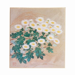 岡崎忠雄・色紙絵『小菊』・No.200516-51・梱包サイズ60