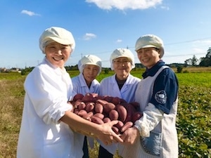 【送料無料】いっぷく堂・熟成干し芋100ｇ×3袋 ※北海道・沖縄除く