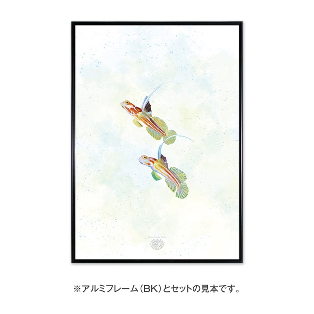 【海のいきものアートポスター／魚】ヤシャハゼ