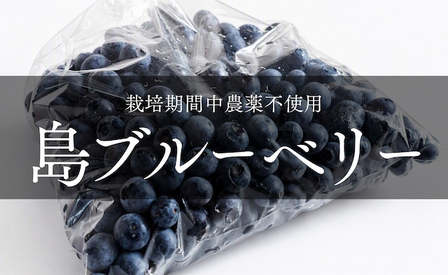 【冷凍・栽培期間中農薬不使用】島ブルーベリー（大小ミックス）　500g　