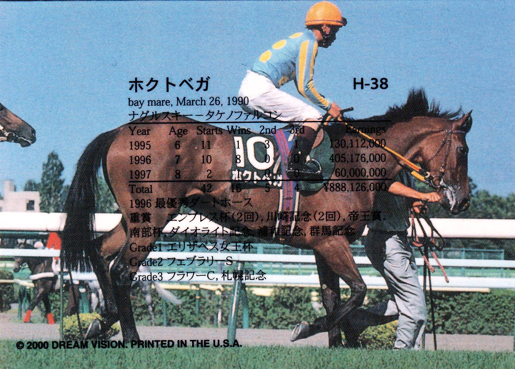 ホクトベガ(Dream)「The Victory 2000」H-38 | PAY ID