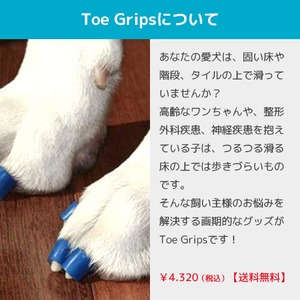 Toe Grips