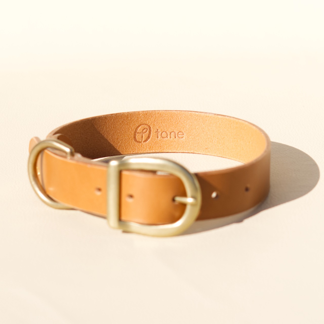 Belt Collar / 30mm