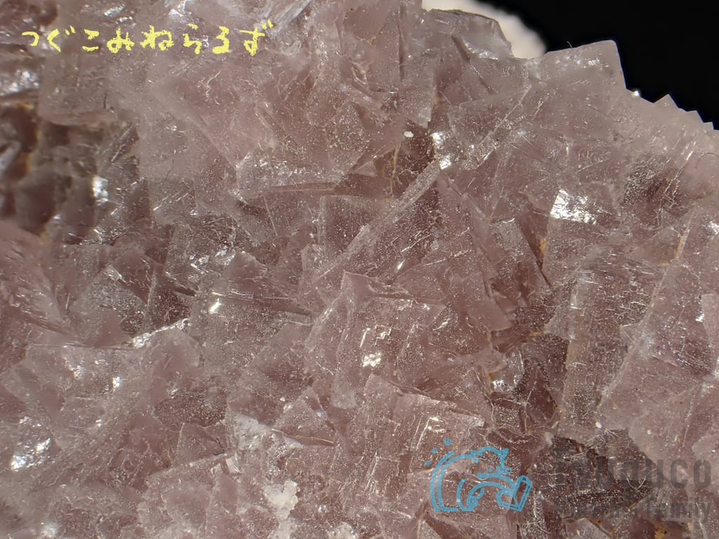 フローライト 蛍石 Fluorite チェコ TM-0036