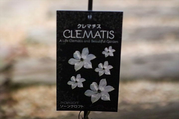 ｸﾚﾏﾁｽ】ソーンクロフト | オニ通