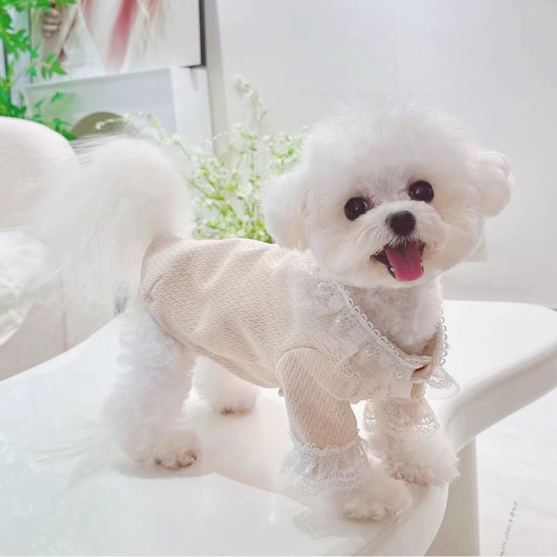 レース襟のガーリートップス 犬服 01059