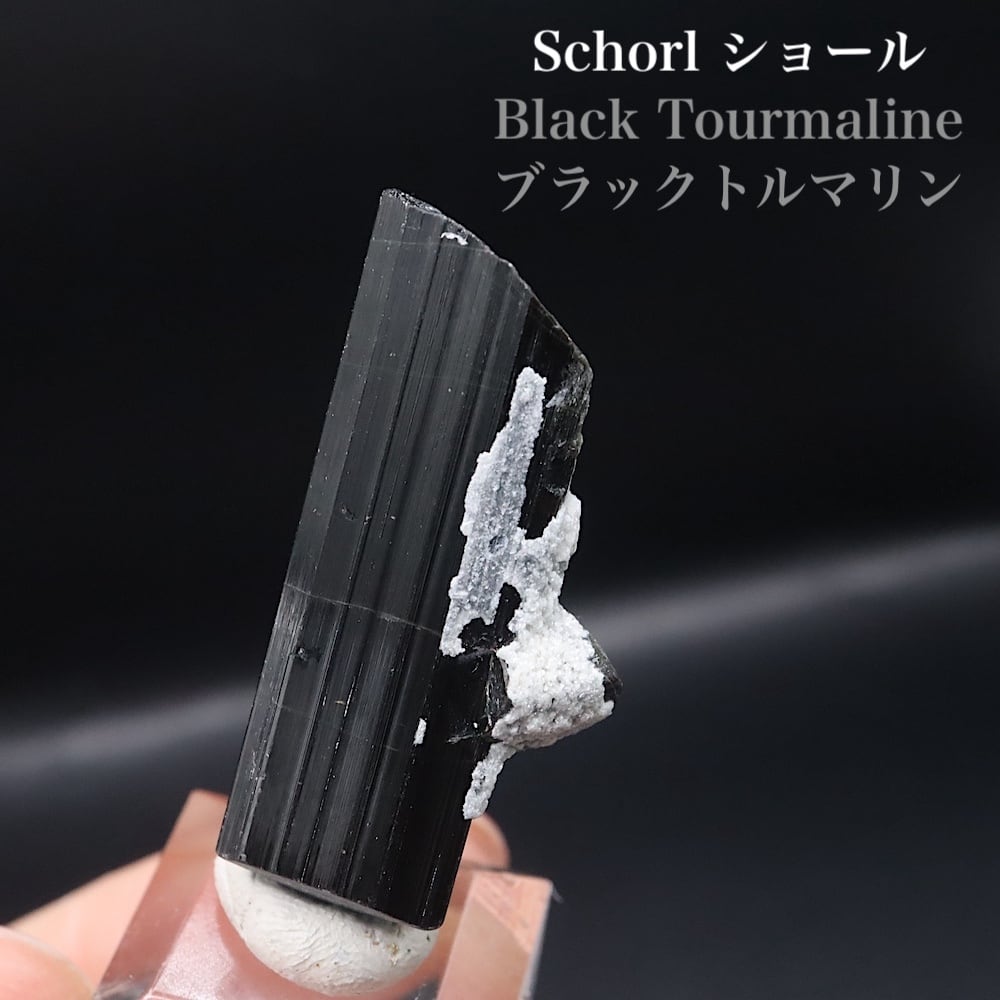 ショール/ブラックトルマリン 8g 電気石 T830 鉱物 天然石 原石