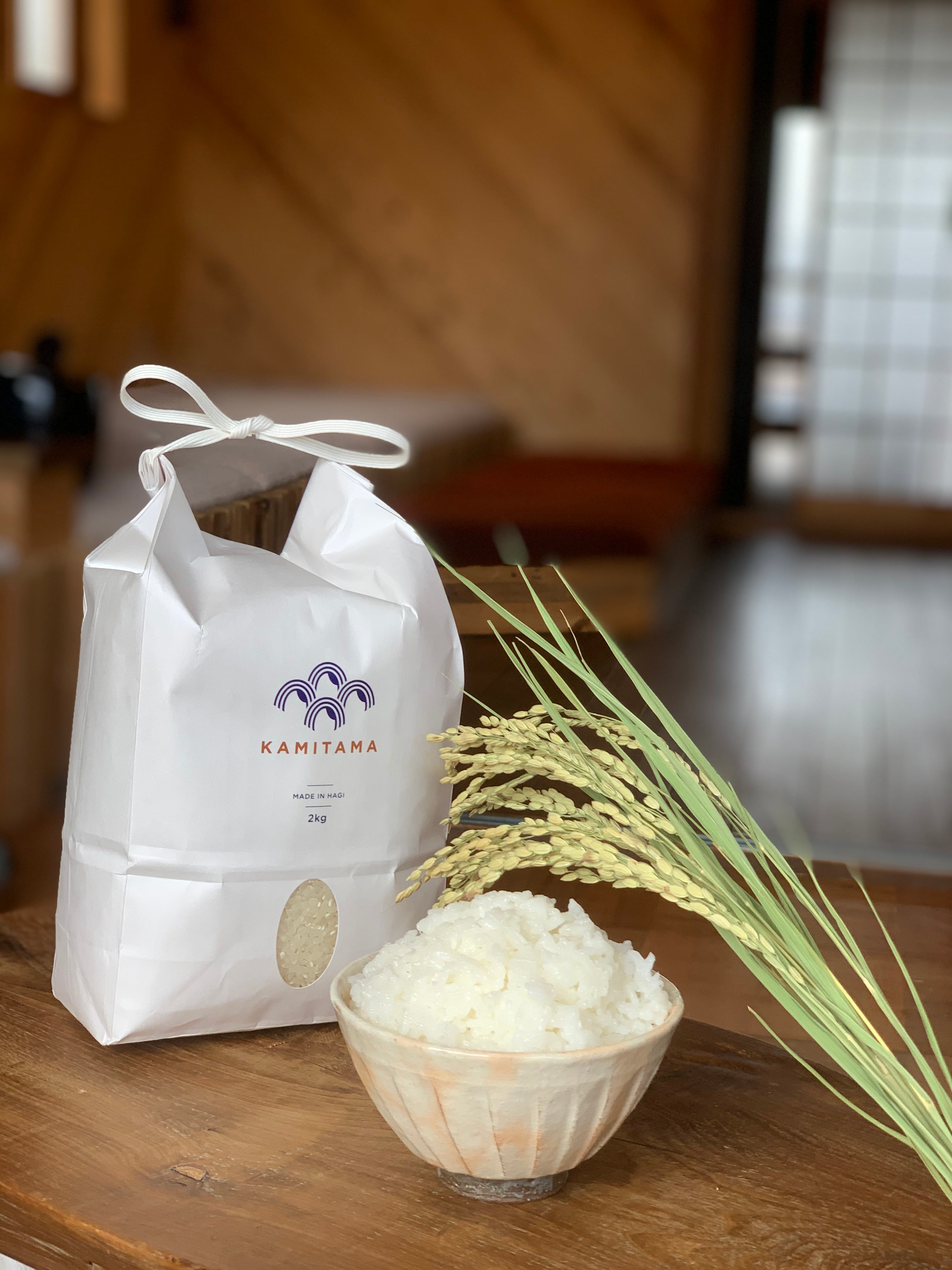 定期便】新米 令和7年度産 ミルキークイーン5kg 毎月1回お届け（全3回