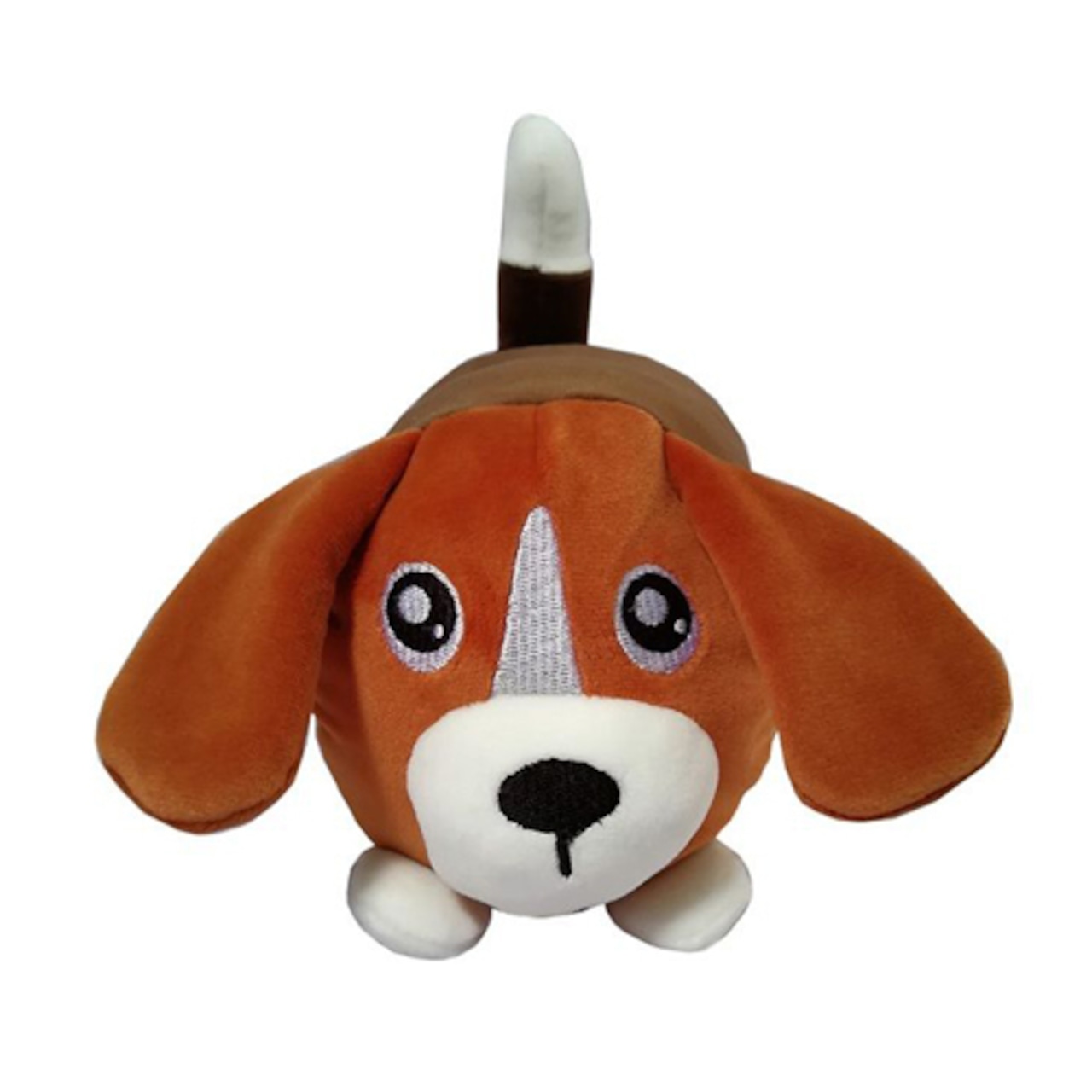 わんだFamily(ワンダファミリー)・画像9