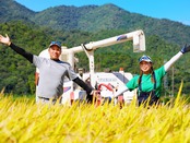 【精米定期便】凛々米 毎月5kg/全12回コース《一部送料無料》