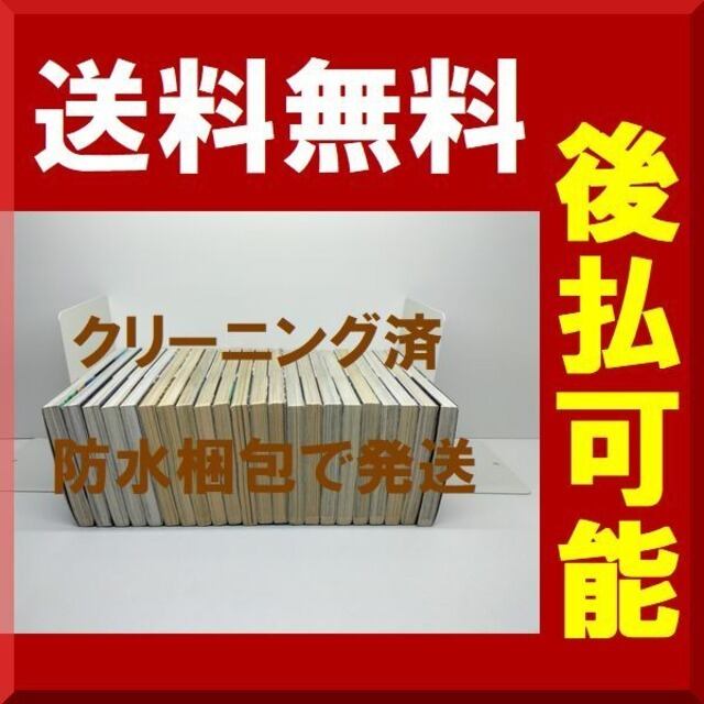 電波の城 細野不二彦 [1-23巻 漫画全巻セット/完結] | 漫画全巻