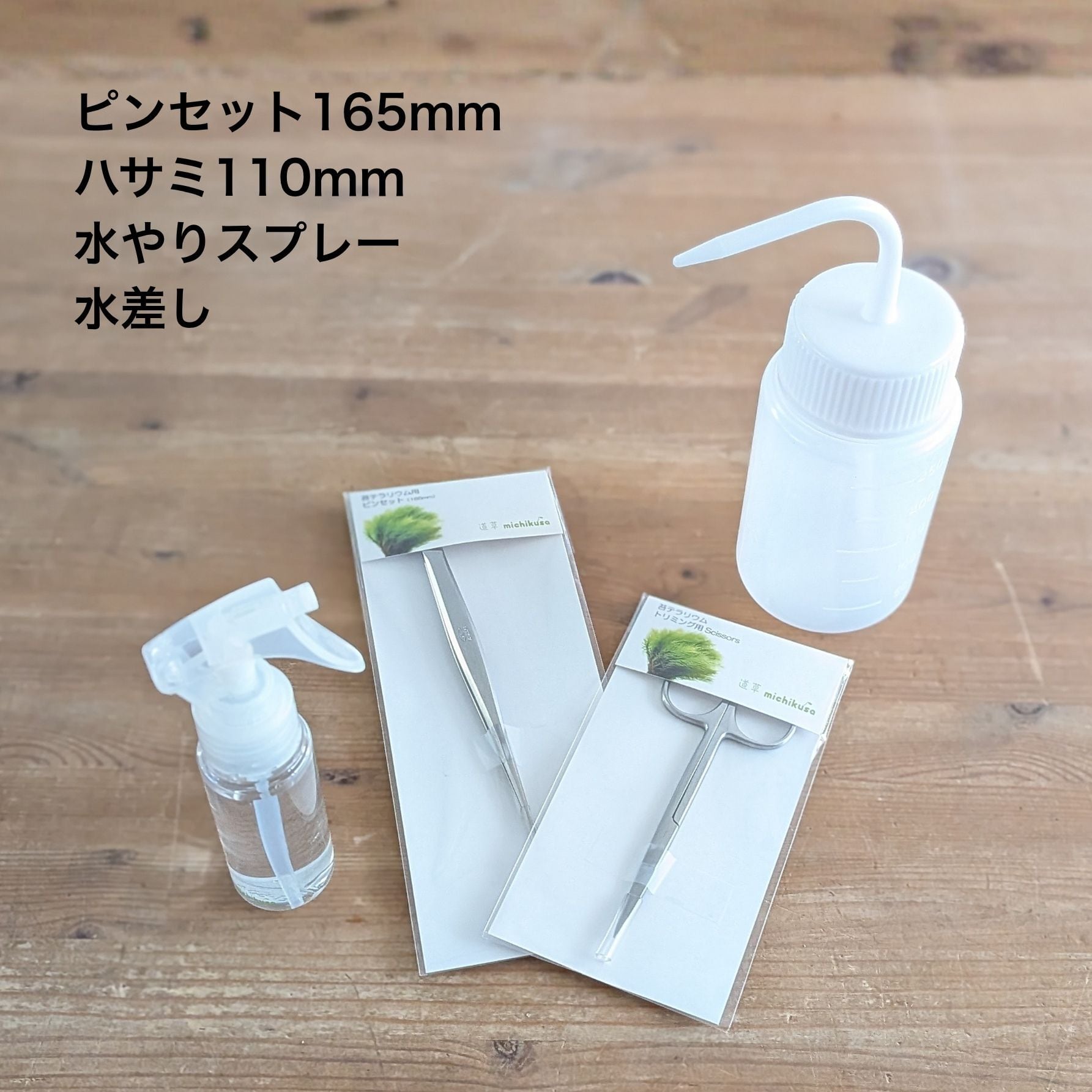 趣味の園芸7月号 掲載記念】景色をつくる苔テラリウムキット（BOX
