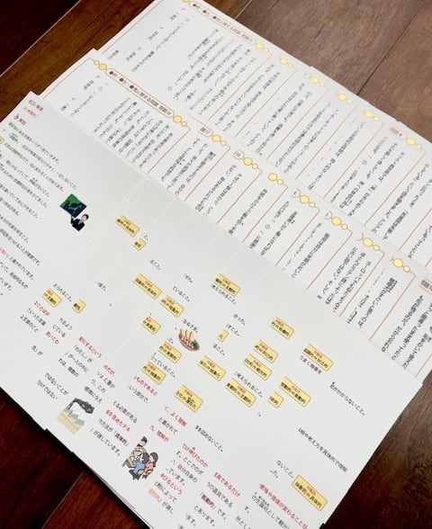 ☆公立中高一貫校 適性検査 最強の作文対策集＋まとめカード 【公式通販】