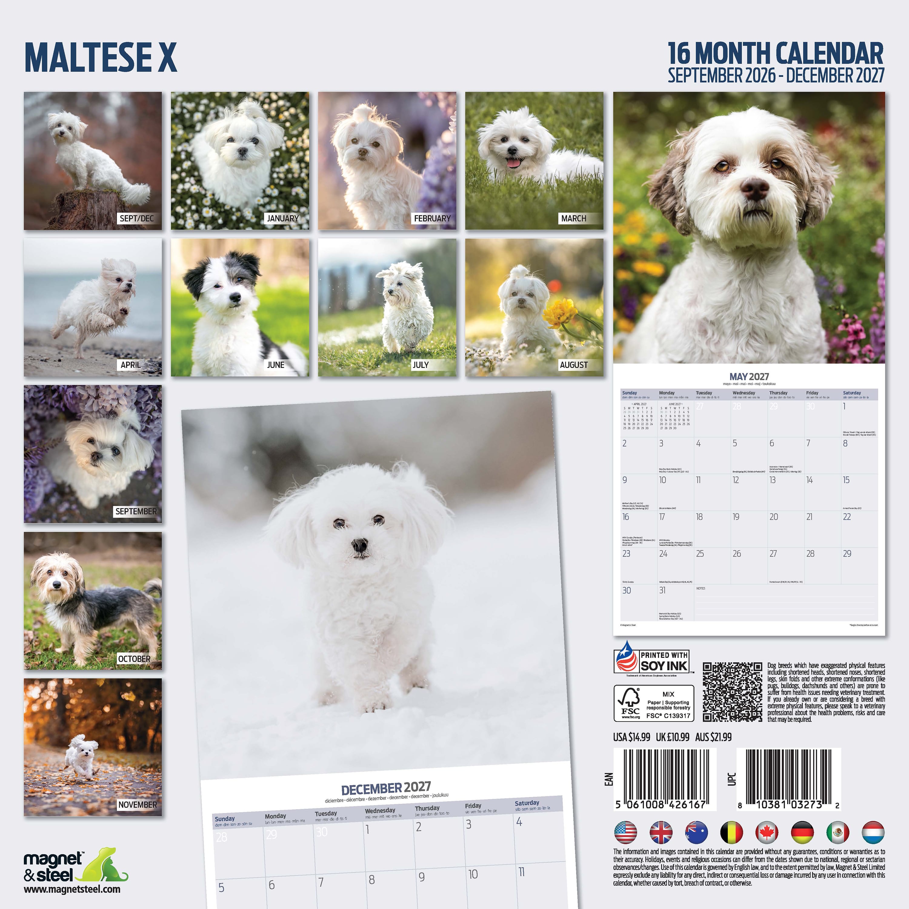 【2027年版】英国製犬種カレンダー【マルチーズ X】Traditional 2027年版