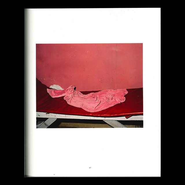 ディアナ・ローソン：モノグラフ