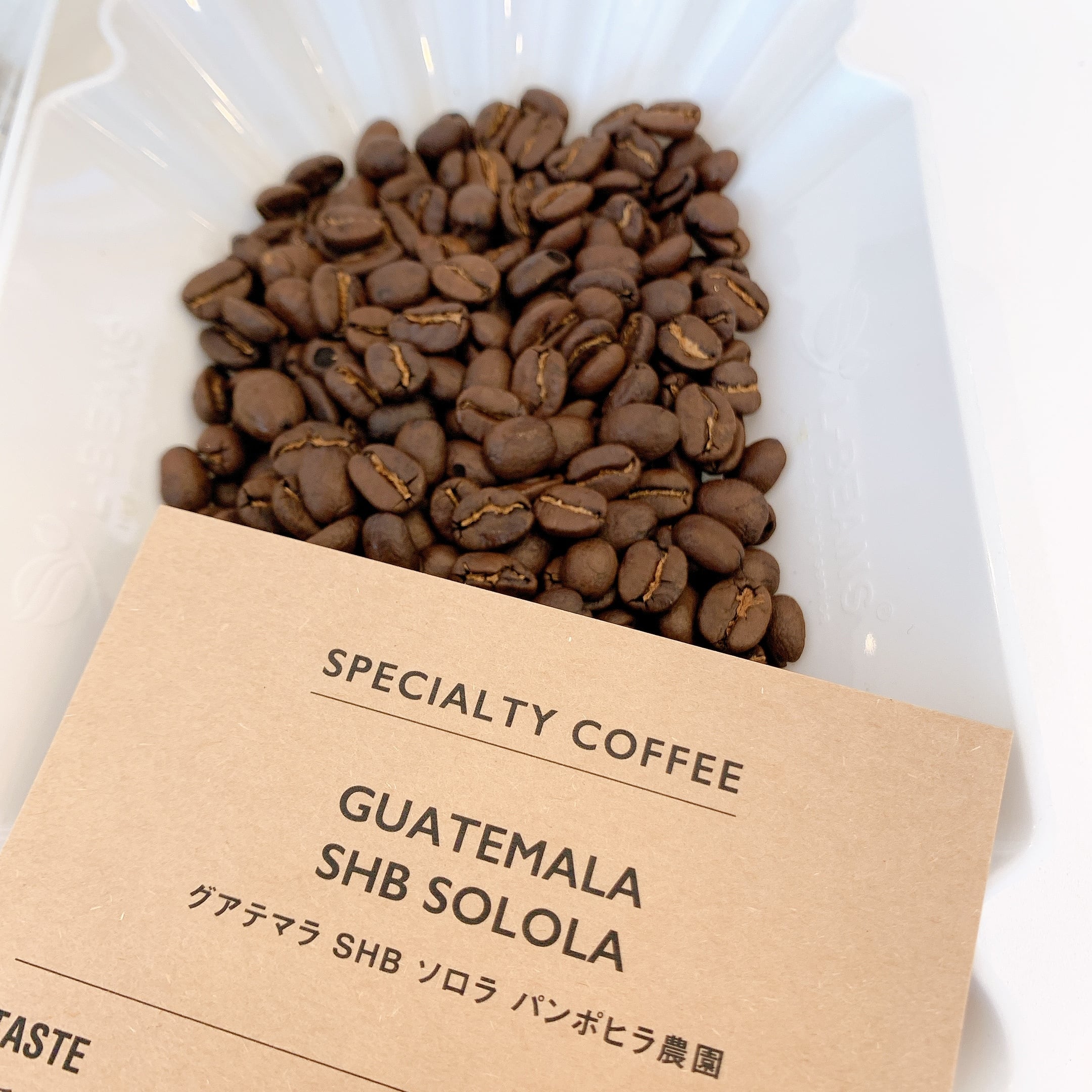 【新品】コーヒー豆（グアテマラ） グアテマラ ソロラ 200g×2 計400g | mametomo1