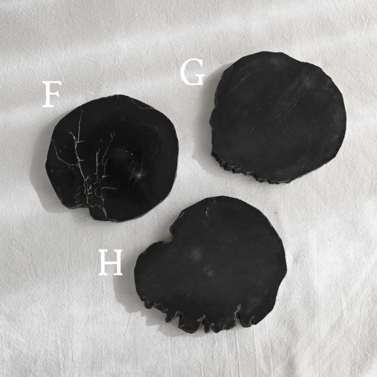 11/18 再入荷 】WOOD COASTAR black｜コースター 天然木 化石 黒