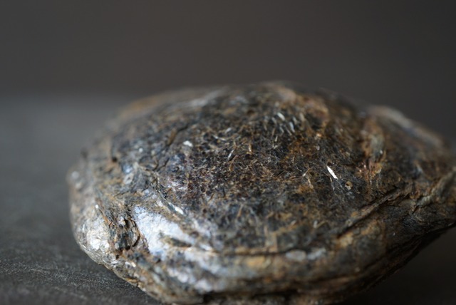 ポルトガル産バイオタイト(黒雲母) Biotite 1663