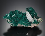 セルサイト / ダイオプテーズ【Cerussite with Dioptase】ナミビア産