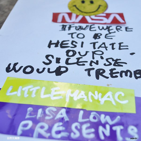送料無料 】 作品「 LITTLE MANIAC - LISA LOW （リサロウ