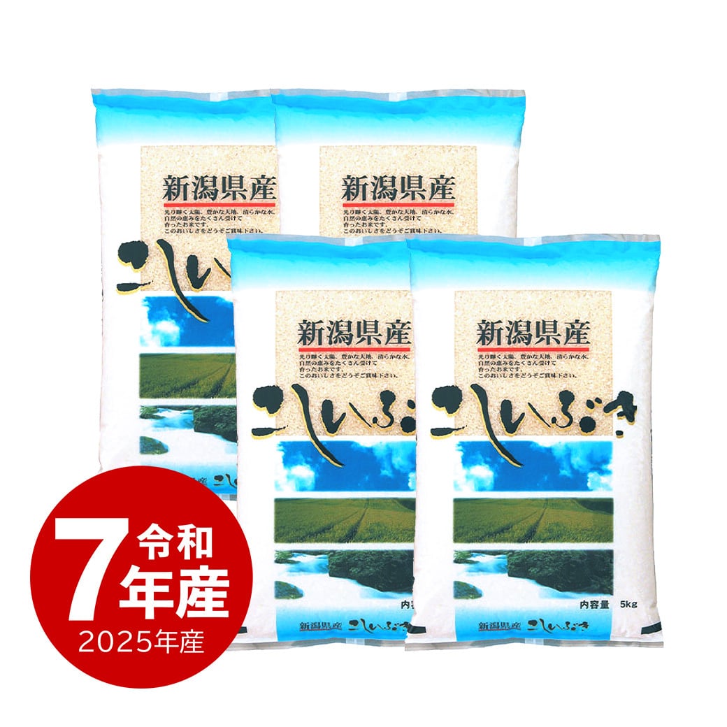 岩船産コシヒカリ 10kg 令和7年産 | 越後の稲穂屋